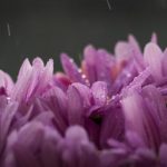 555现场开奖24小时不间断,最新开奖结果实时更新 9to20