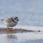 5555kj开奖结果最新公布,速来查看中奖详情! bly7v