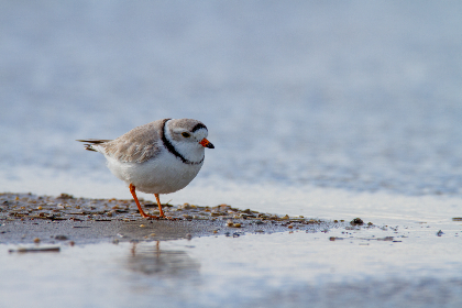 5555kj开奖结果最新公布，速来查看中奖详情！