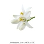 55125开奖结果最新公布,惊喜大奖花落谁家 q5jo0qgl