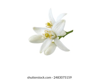 55125开奖结果最新公布，惊喜大奖花落谁家