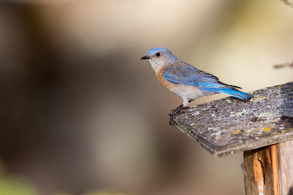 558开奖前后：幸运号码揭晓的激动时刻