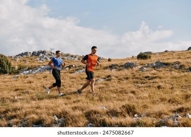 556开奖前后关联全解析：揭秘中奖号码的隐藏规律