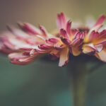 kj350开奖结果最新公布,速来查看中奖详情 m598l