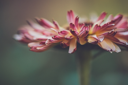 kj350开奖结果最新公布，速来查看中奖详情